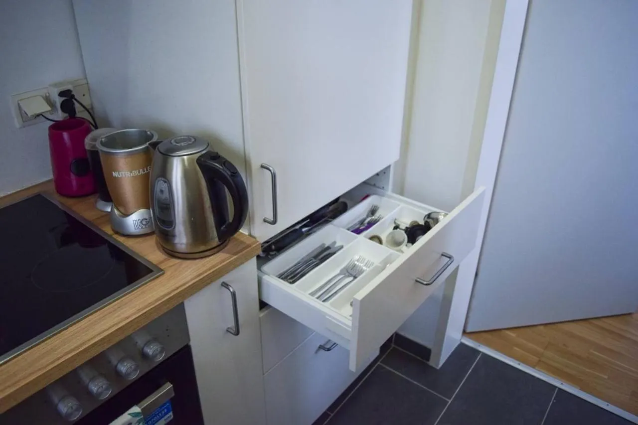 Modern Apartment Near Wu, Danube And Prater Viena